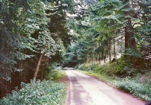 1995-0905 047 edit 1