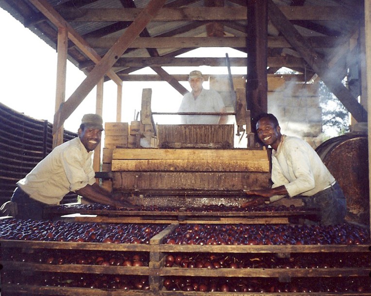 mosesandsylvestersleuthsite